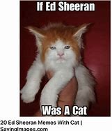 Image result for Funny Cartoon Memes Clean