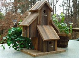 Image result for Novelty Bird Houses