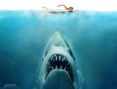 Image result for Images of Jaws