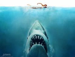 Image result for Sharck Jaws