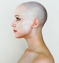 Image result for Human Head Profile