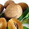 Image result for Petik Buah Sawo