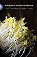 Image result for Grow Mung Bean Sprouts at Home