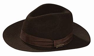 Image result for Indiana Jones Hat