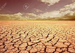 Image result for Dried Desert