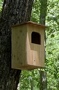 Image result for Barred Owl Nest Box