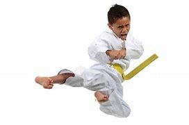 Image result for Taekwondo Kids Pictures