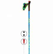 Image result for Eco Tour Ski Poles