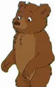 Image result for Little Bear Kids