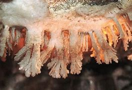 Image result for Gypsum Crystal Cave