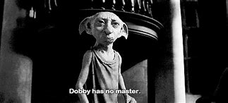 Image result for Dobby Has No Master