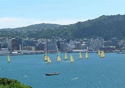 Image result for Wellington River