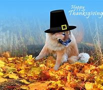 Image result for Thanksgiving Puppy Banner