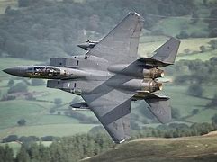 Image result for F-15 Black