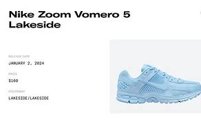 Image result for Nike Vomero 5 Lakeside