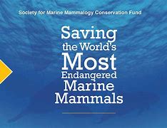 Image result for Marine Mammal Science