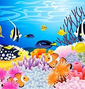 Image result for Reef Clip Art