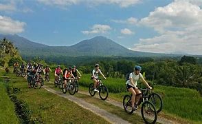 Image result for Cycling Bali