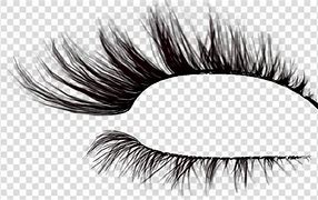 Image result for Eyelash Drawing