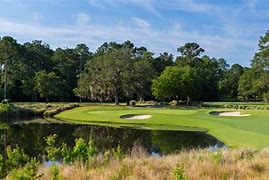 Image result for Goliath Golf Course Florida