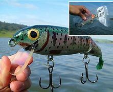 Image result for AC Trout Lure