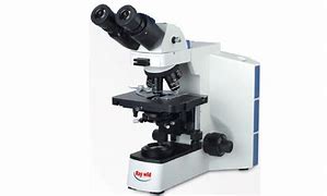 Image result for Biological Microscope