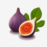 Image result for Fig Fruit Clip Art