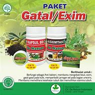 Image result for Obat Eksim Sanbe