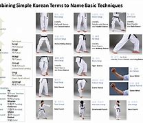 Image result for Taekwondo GI