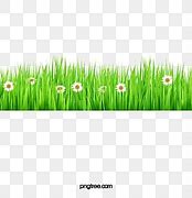 Image result for Background Rumput 3X1