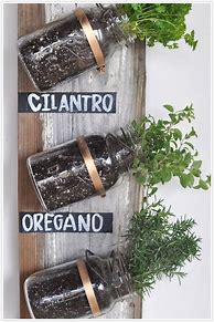 Image result for DIY Mason Jar Herb Garden