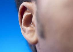 Image result for Yeast Infection in Ear Canal