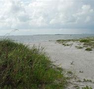 Image result for Apollo Beach Nature Preserve