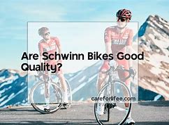 Image result for 2024 Schwinn Bikes