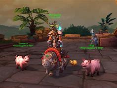 Image result for WOT Hog Pig