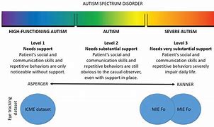 Image result for With Autism Spectrum Disorder