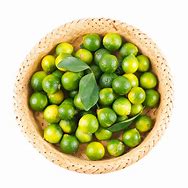 Image result for Green Kumquat