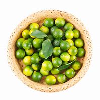 Image result for Kumquat Fruit Green and Orange