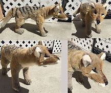 Image result for Thylacine Plush Toy