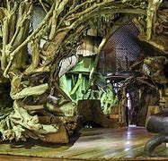 Image result for STL City Museum