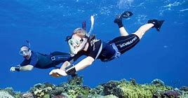 Image result for Snorkeling Pool