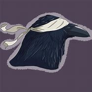 Image result for Crow Avatar