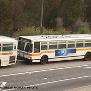 Image result for MTA Bus 7802