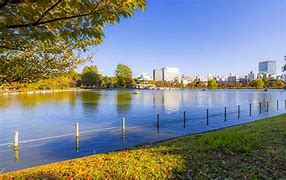 Image result for Explore Ueno Park