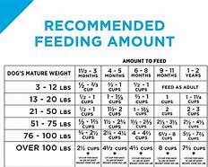 Image result for Cat Feeding Chart by Weight