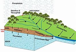 Image result for Drainage Basin Diagram Geography