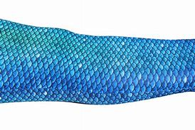 Image result for Mermaid Tail Skin