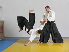 Image result for Aikido Step by Step