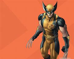 Image result for Wolverine Character