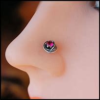 Image result for Cute Nose Rings